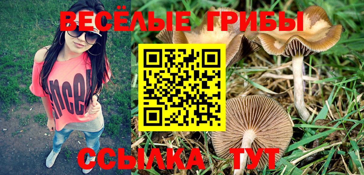 Псилоцибиновые грибы мицелий  Вход с VPN  Якутск  Галлюциногенные грибы ЛСД 